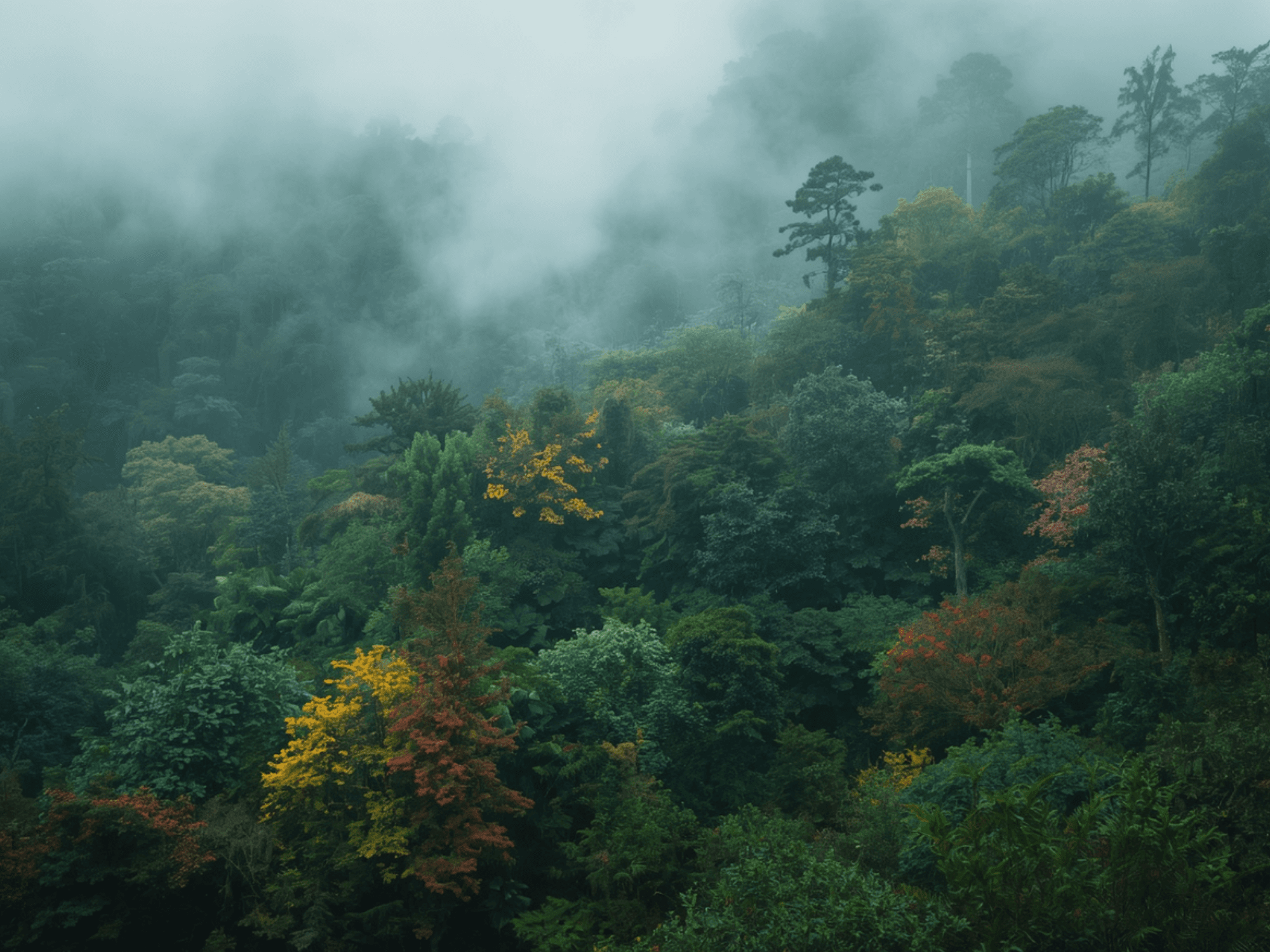 Traditional Indigenous land — Toronto